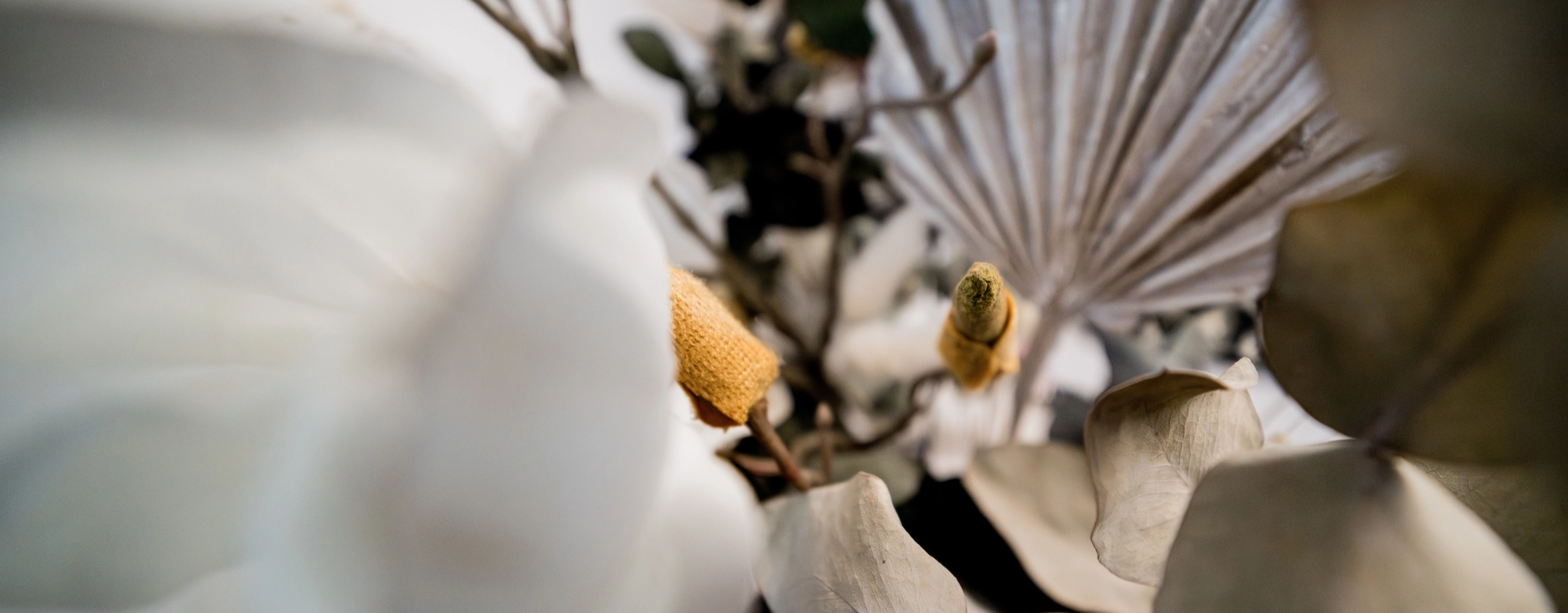 Alterszahnheilkunde-Zahnärzte Labertal