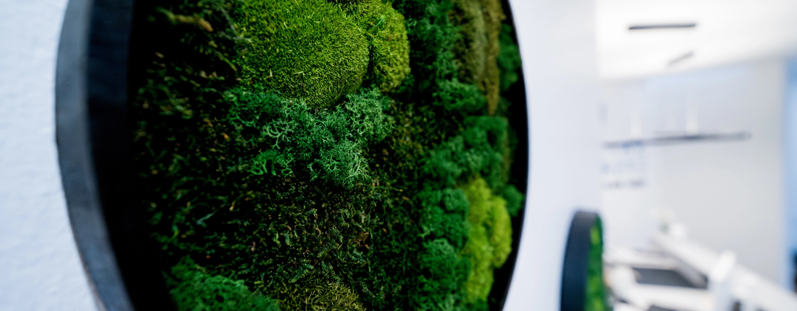 Kinderzahnheilkunde-Zahnärzte Labertal