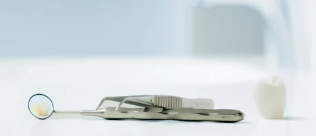 Zahnaerzte Labertal-Werkzeuge und Zahnmodell